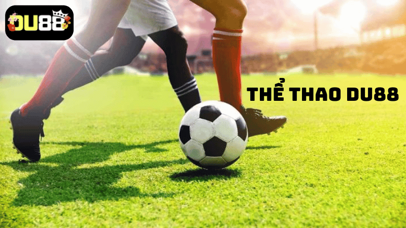 Tổng quan về chuyên mục thể thao DU88 nổi tiếng